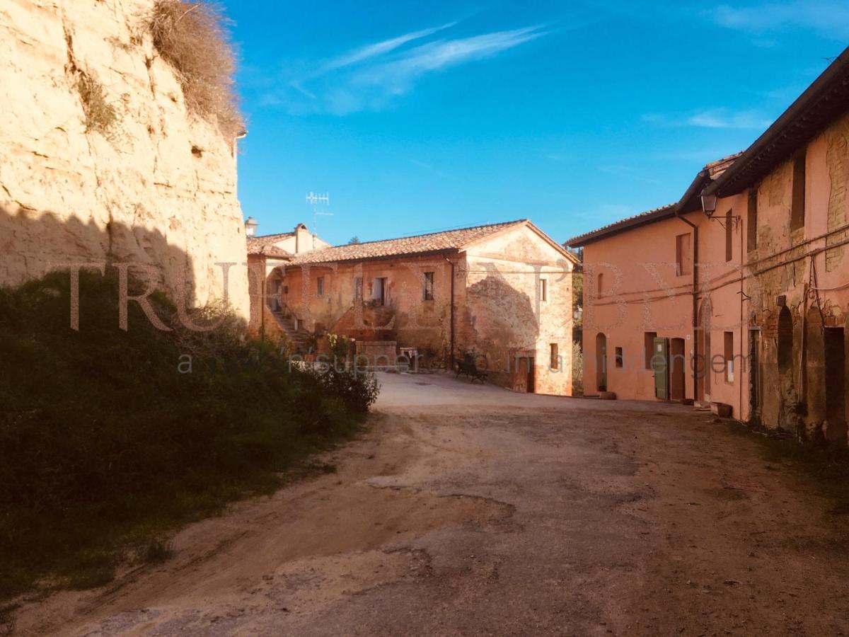 Truffle'N'Bed Bed & Breakfast San Giovanni d'Asso Bagian luar foto